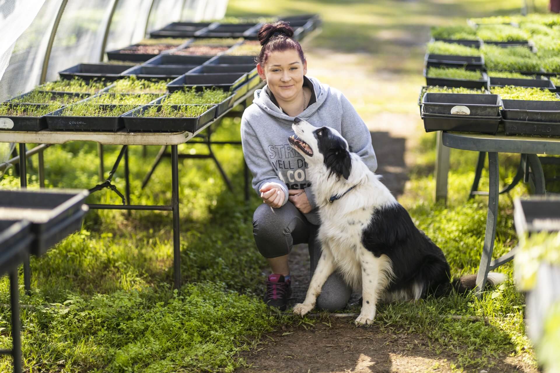 Woman working in a plant nursery after finding a job through APM